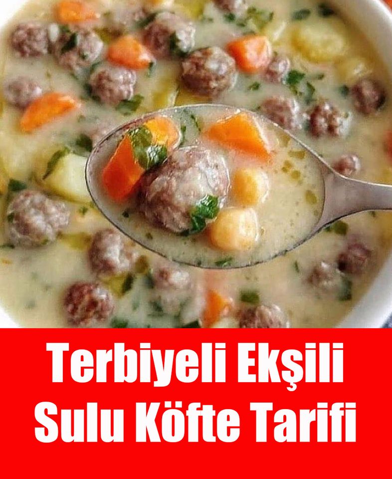 Terbiyeli Ekşili Sulu Köfte - 1